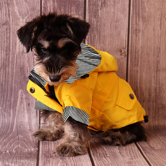 Gardez votre chiot ou petit chien au chaud et au sec grâce à cette élégante veste imperméable à rayures !