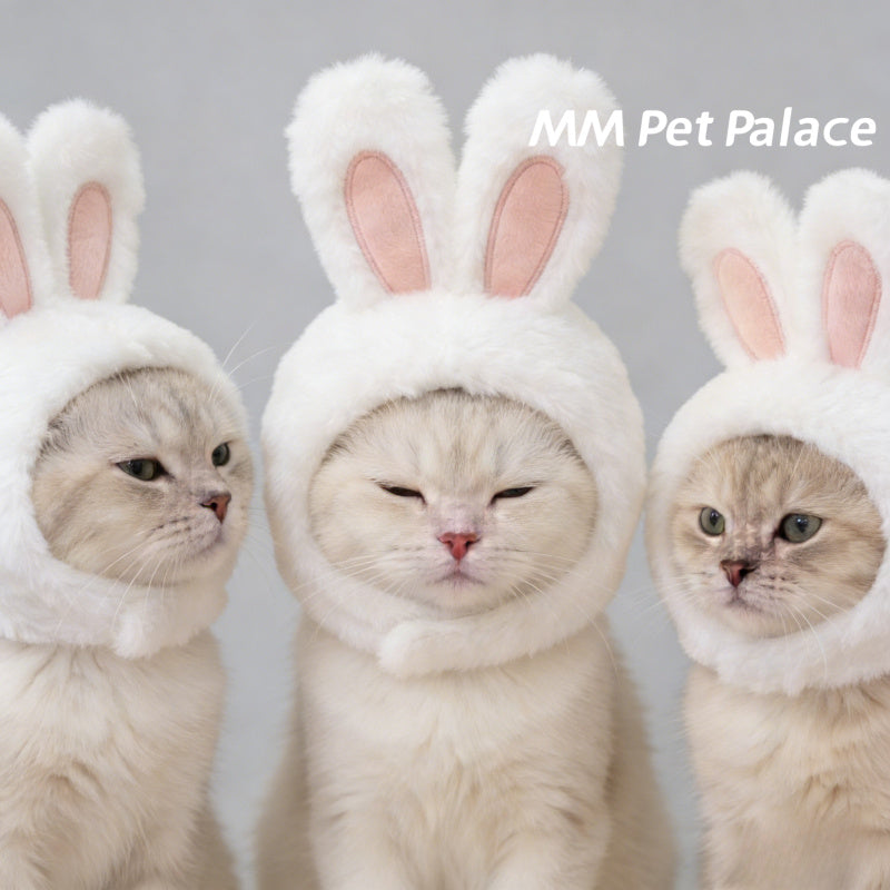 Casque tout doux à oreilles de lapin pour chat, costume mignon pour Pâques, lavable à sec uniquement