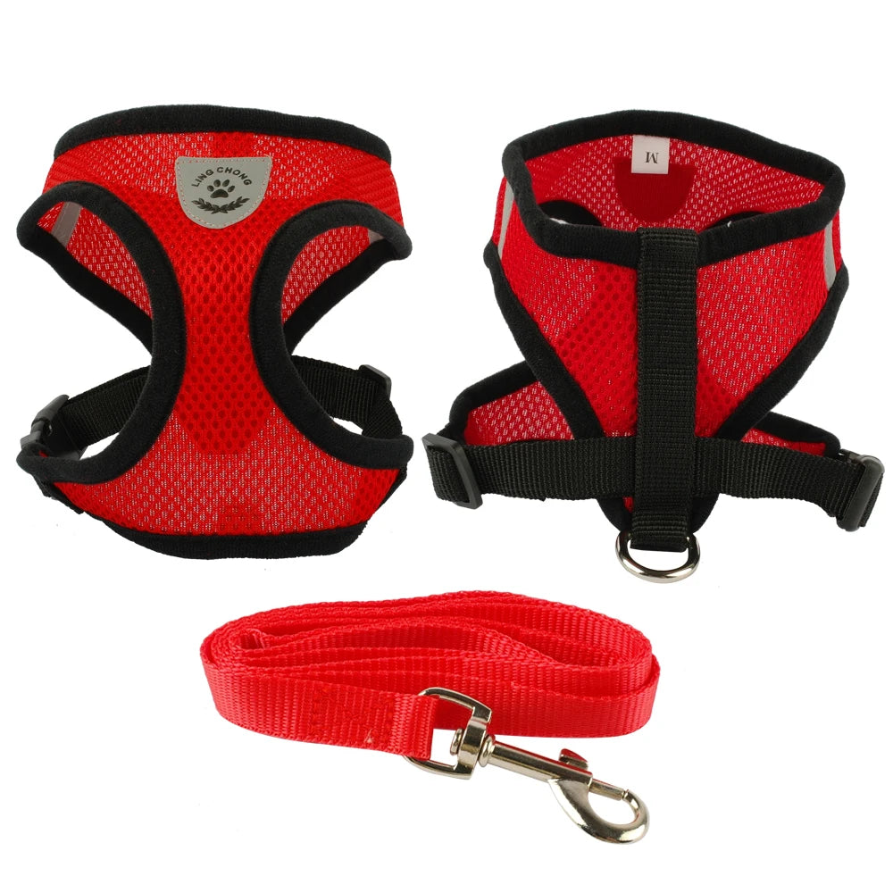 Ensemble de laisse + harnais en maille respirante pour petit chien et chien moyen, diverses couleurs