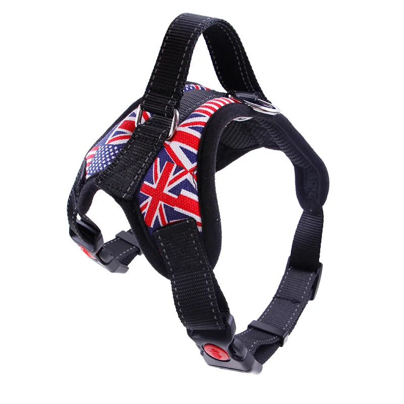 Harnais pour chien, de la taille S à la taille XL, diverses couleurs et divers motifs, + laisse en nylon, 4 tailles