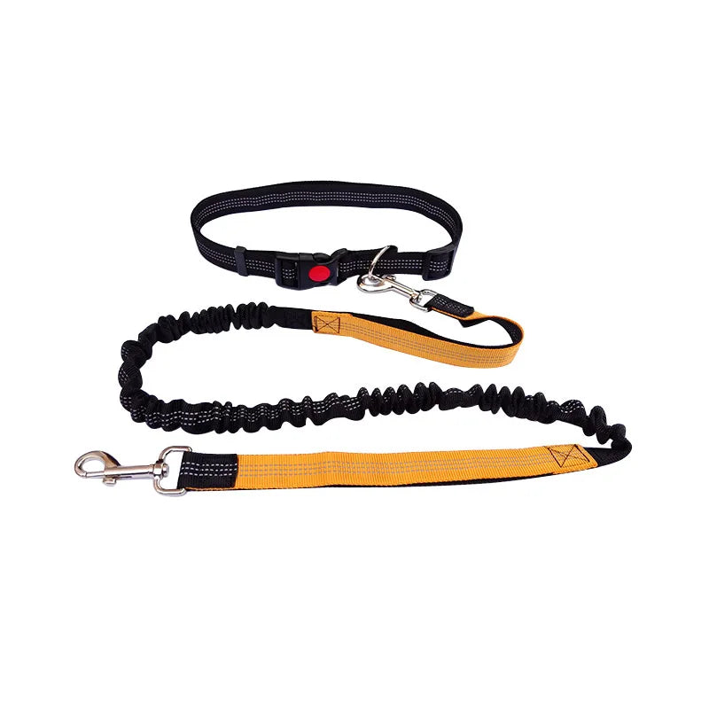 Laisse pour chien mains libres pour promenade, course à pied, jogging. Laisse réglable, ceinture abdominale, sangle thoracique, diverses couleurs