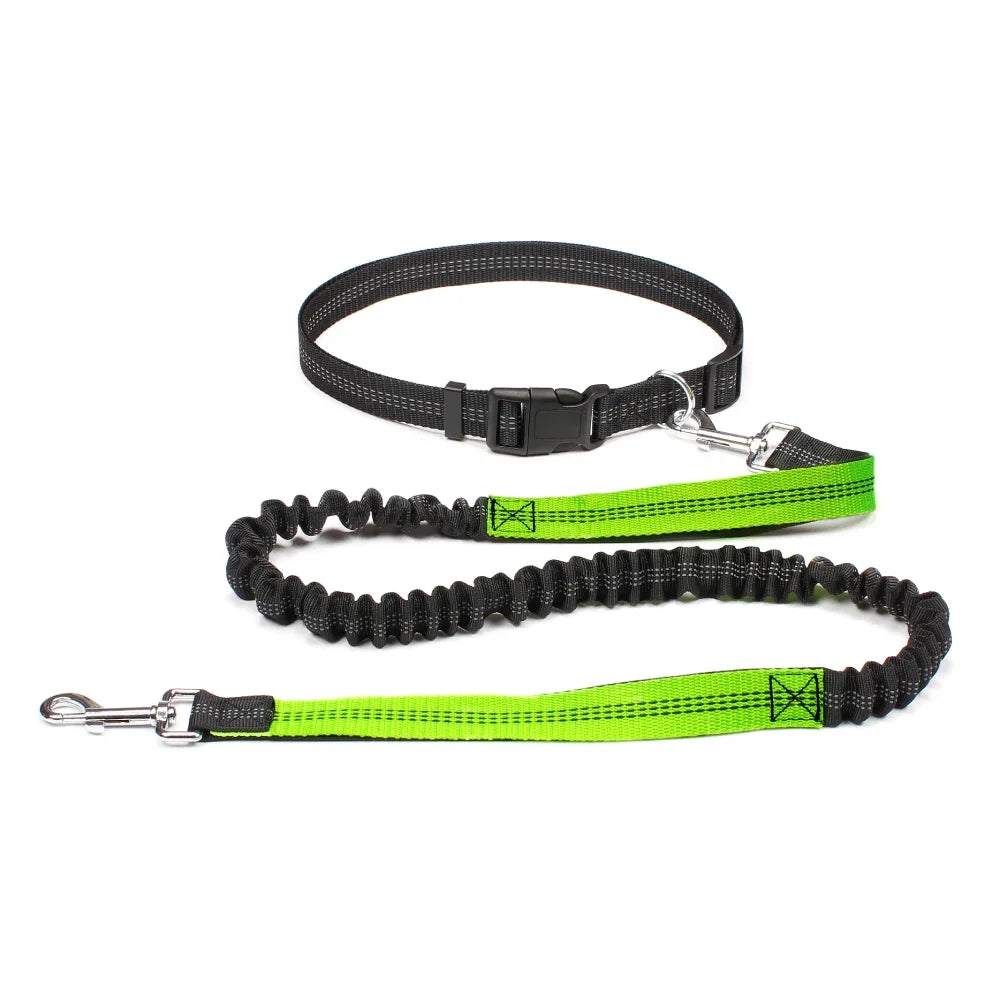 Laisse pour chien mains libres pour promenade, course à pied, jogging. Laisse réglable, ceinture abdominale, sangle thoracique, diverses couleurs