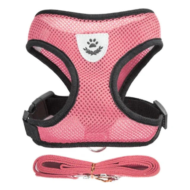 Harnais + laisse assortie, pour chat et petit chien, maille respirante et confortable, diverses couleurs