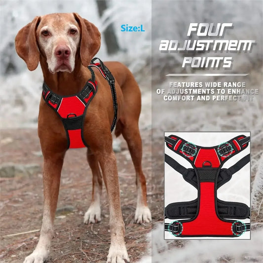 Harnais pour chiens, taille S à XL, diverses couleurs
