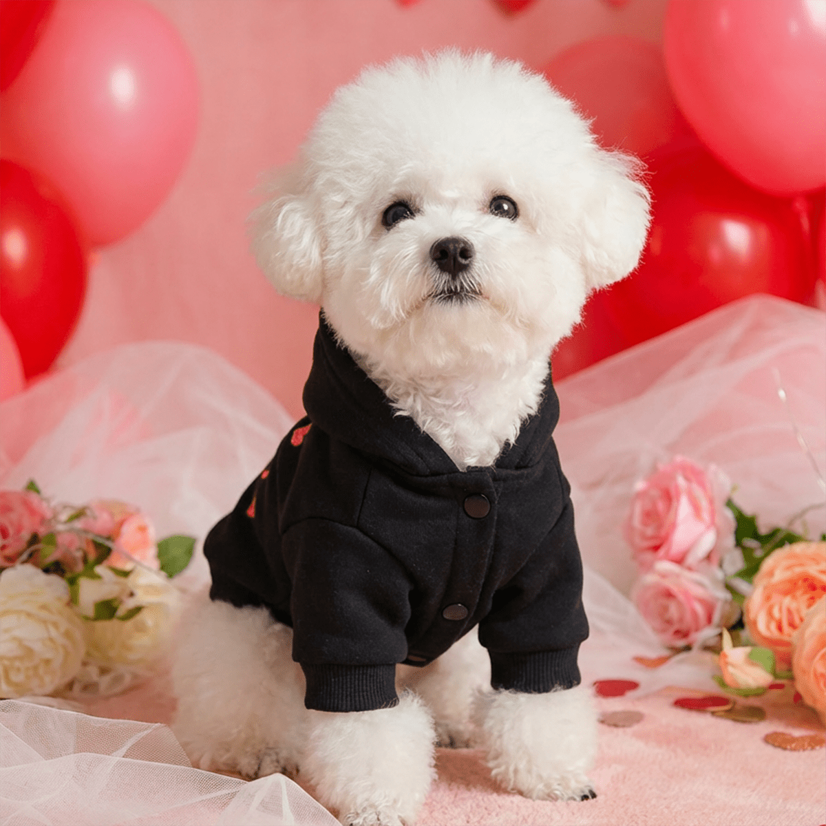 Sweat à capuche noir pour chien avec motif de petits cœurs rose et inscription LOVE, anneau intégré pour partir en balade, bien chaud