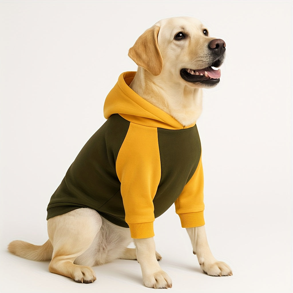 Pull d'hiver classique pour chien avec capuche et poches