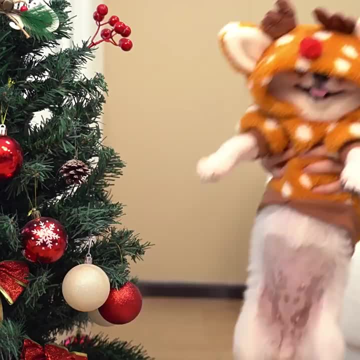 Costume de Noël en peluche pour chiens de tailles petite et moyenne, design de petite biche mignonne