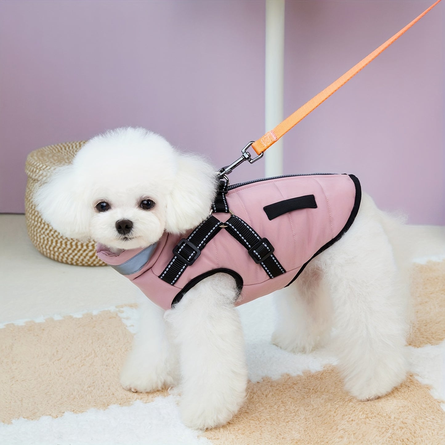 Veste épaisse avec col , disponible en beige,rose ou bleu, fermeture à boucle réglable pour les animaux de taille XS à M (utilisation à l'intérieur et à l'extérieur) - Manteau rembourré doux