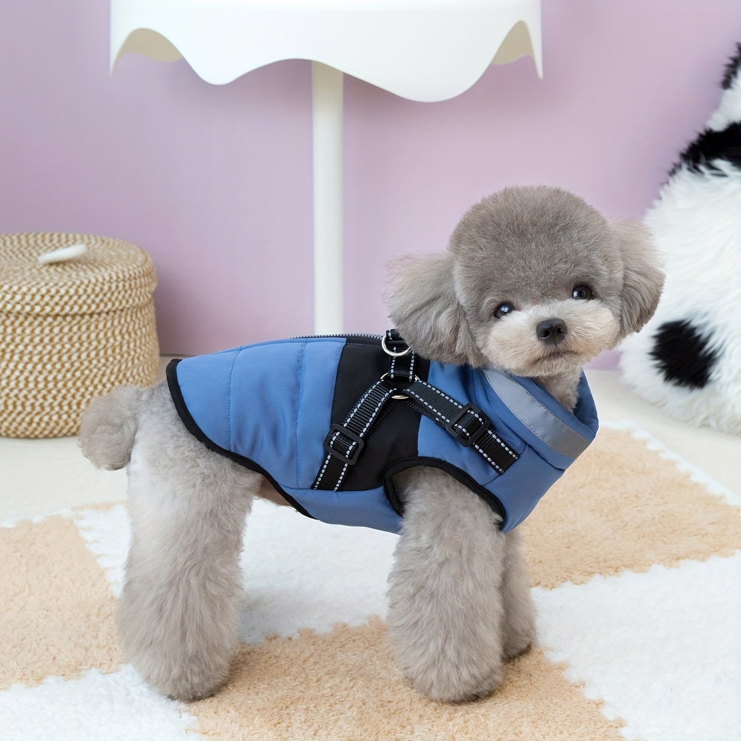 Veste épaisse avec col , disponible en beige,rose ou bleu, fermeture à boucle réglable pour les animaux de taille XS à M (utilisation à l'intérieur et à l'extérieur) - Manteau rembourré doux