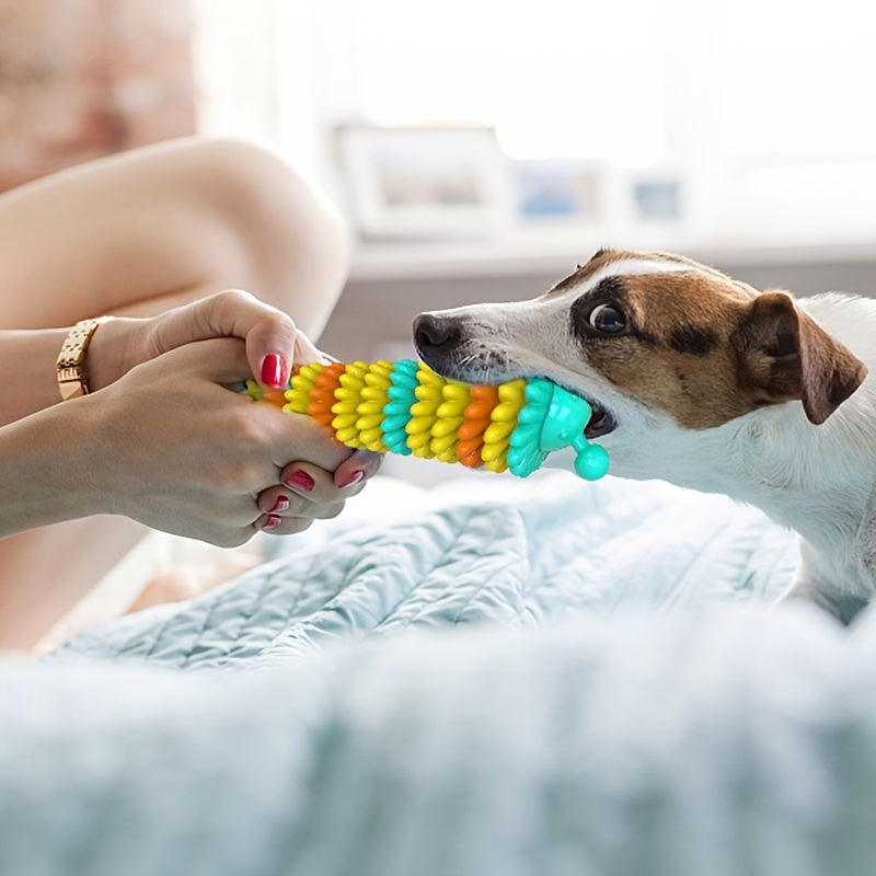 Jouet à mâcher pour chiens, nettoie les dents et protège contre la plaque dentaire, diverses couleurs