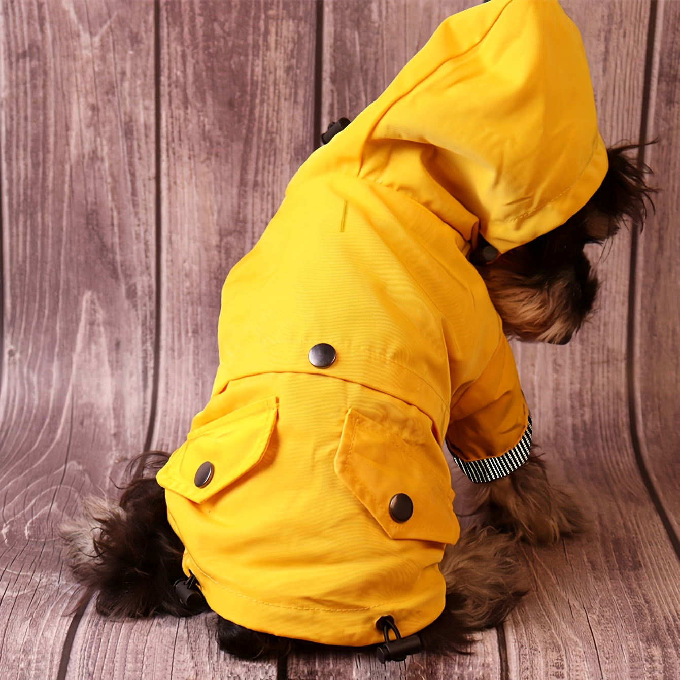 Gardez votre chiot ou petit chien au chaud et au sec grâce à cette élégante veste imperméable à rayures !