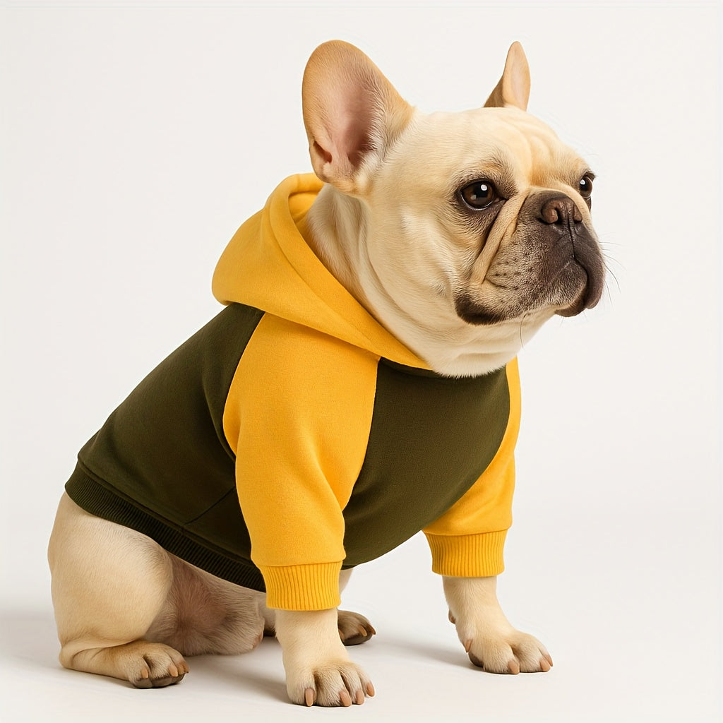 Pull d'hiver classique pour chien avec capuche et poches