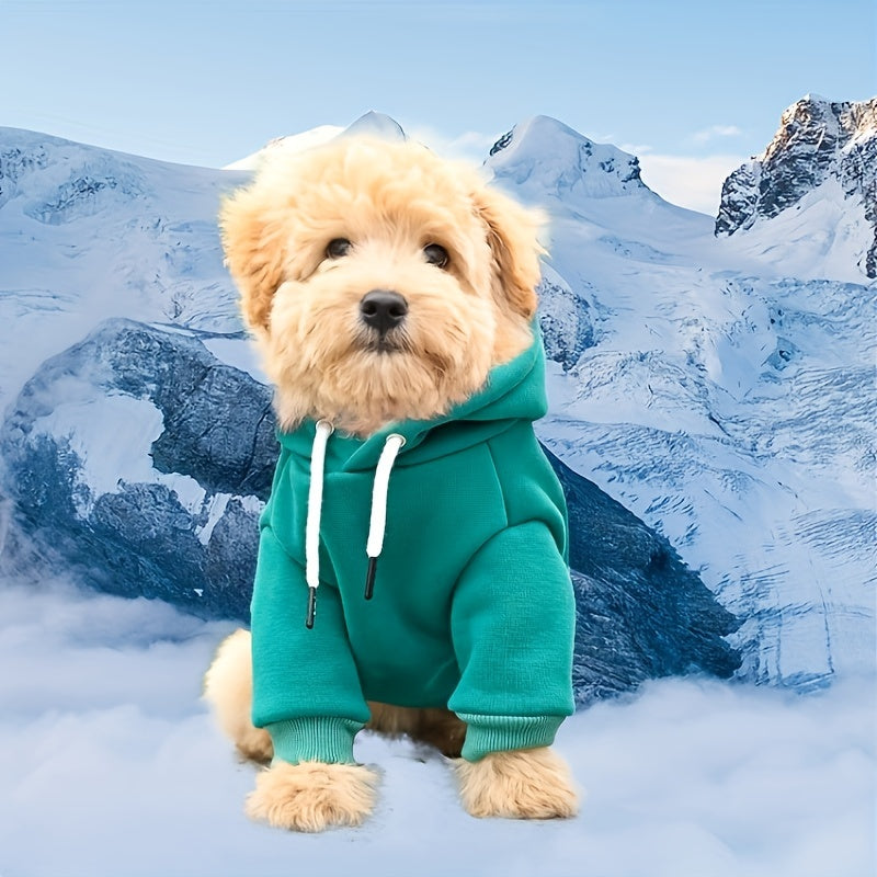 Sweat à capuche pour petits chiens, 65 % polyester, 35 % laine