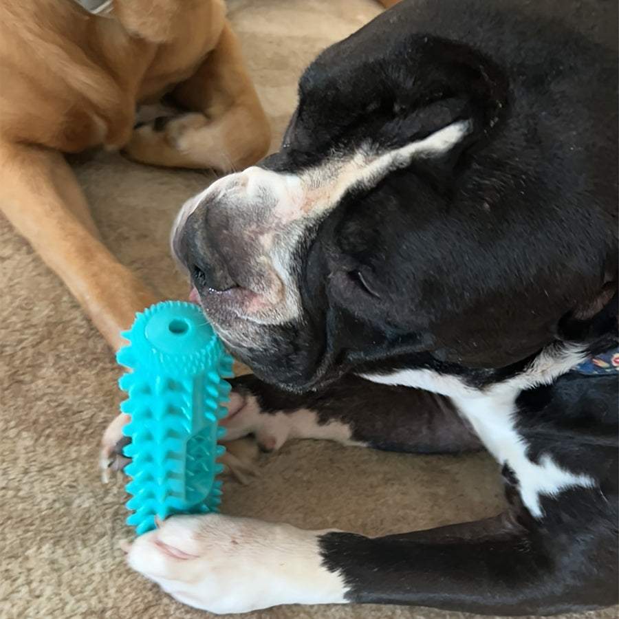 Jouet à mâcher pour chien, bâton moléculaire résistant aux morsures, nettoyant les dents, jouet éducatif d'entraînement