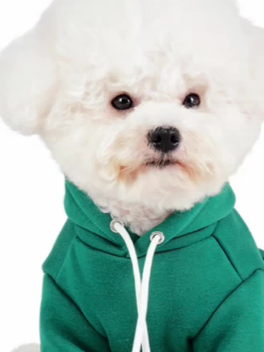 Sweat à capuche pour petits chiens, 65 % polyester, 35 % laine