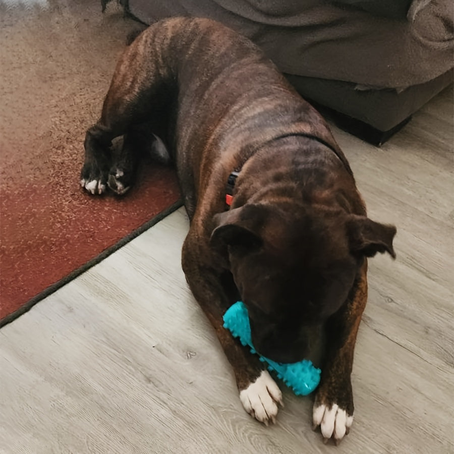 Jouet à mâcher pour chien, bâton moléculaire résistant aux morsures, nettoyant les dents, jouet éducatif d'entraînement
