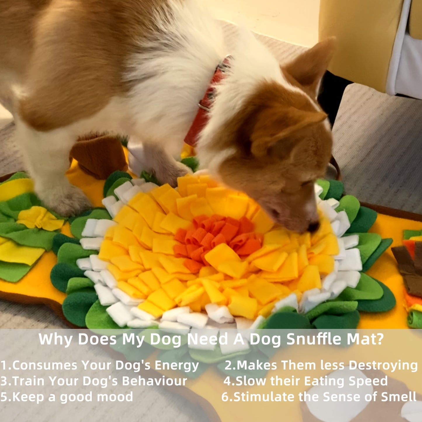 Tapis interactif pour chien en forme d'os, tapis pour jeux olfactifs et alimentation lente, lavable en machine
