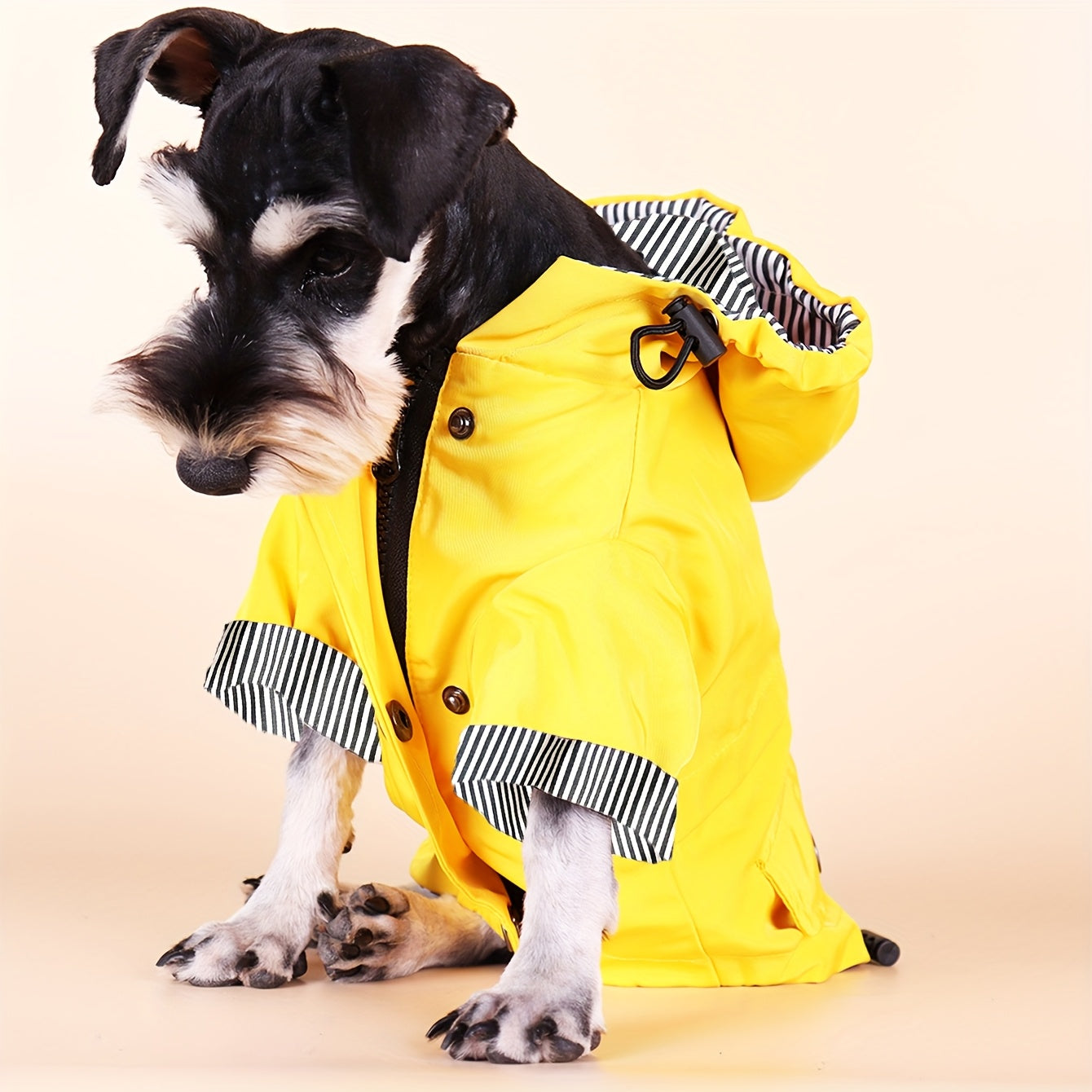 Gardez votre chiot ou petit chien au chaud et au sec grâce à cette élégante veste imperméable à rayures !