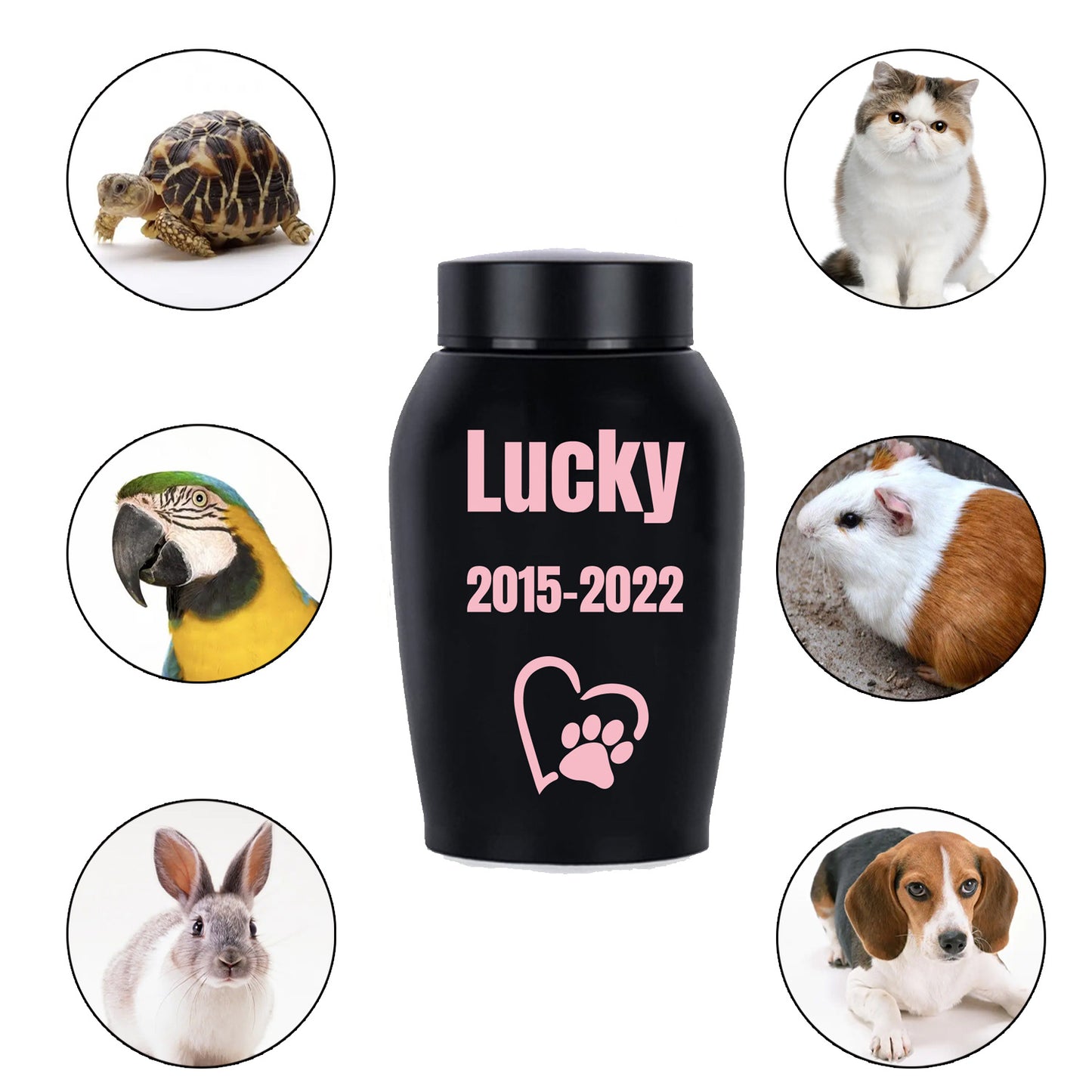 Urne funéraire personnalisée pour animaux de compagnie - acier inoxydable, diverses couleurs et motifs