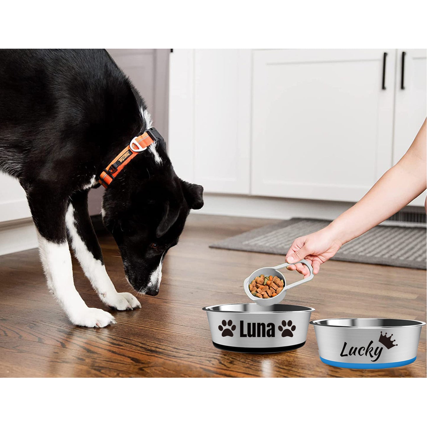 Gamelle pour chien en acier inoxydable personnalisable avec base antidérapante en caoutchouc de diverses couleurs - Nom de l'animal et divers motifs pour personnaliser la gamelle