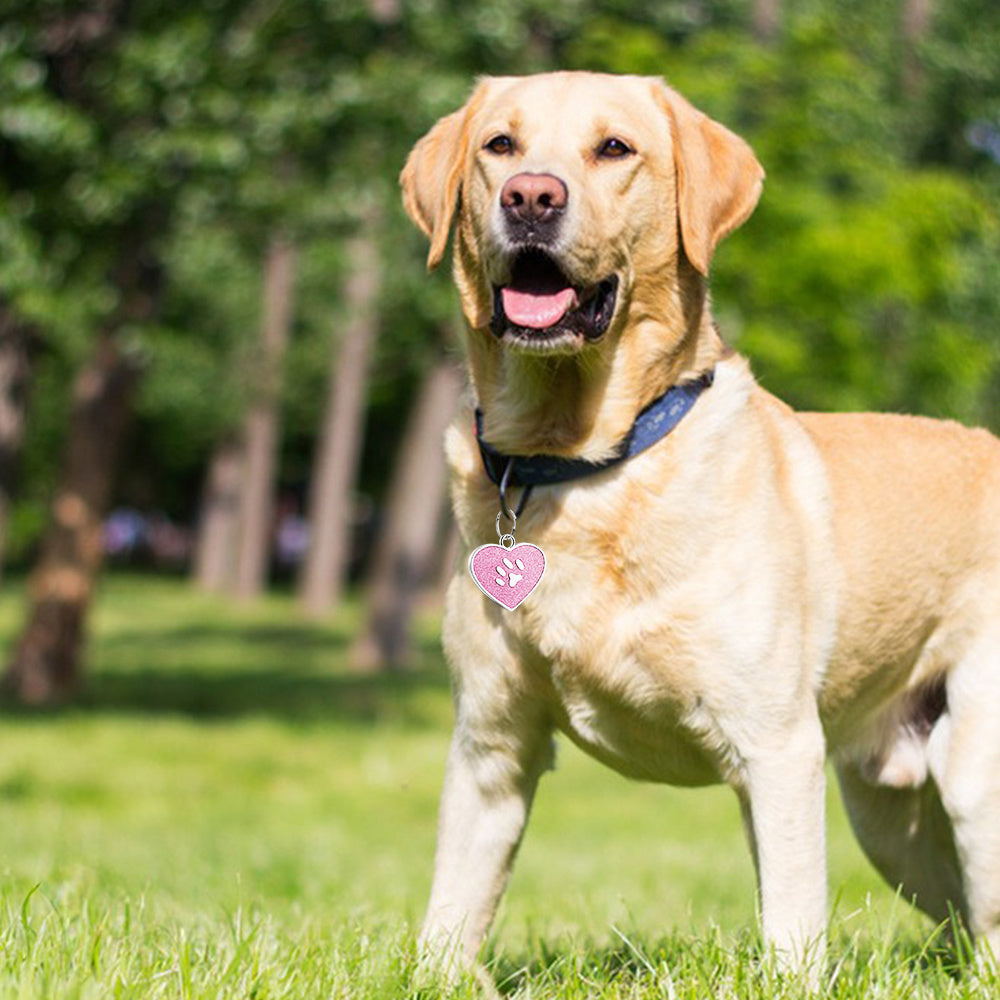 Médaille pour chien et chat personnalisée en forme de cœur, gravées au laser au dos, durables et personnalisées, diverses couleurs