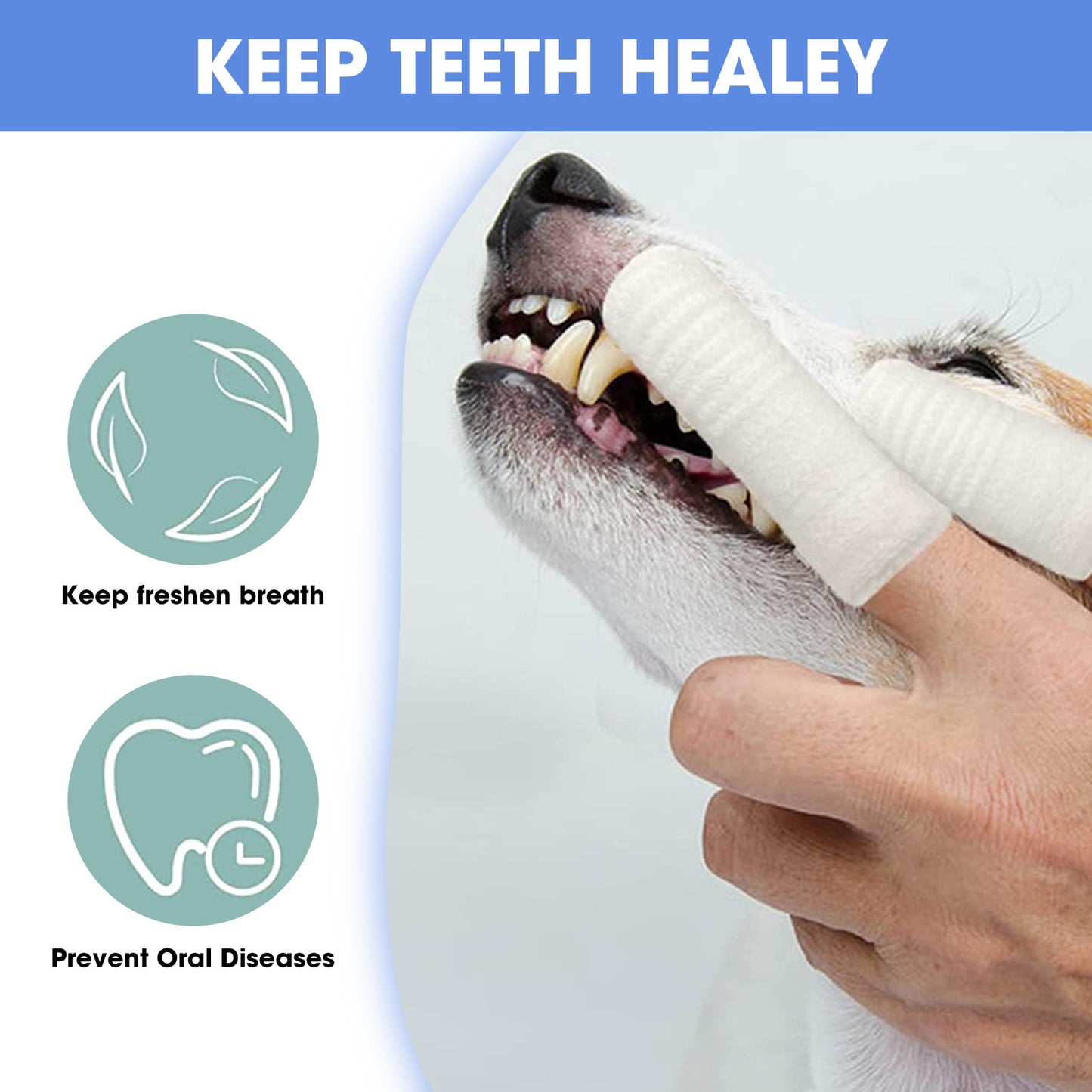 12 brosses à dents pour chien, outil de soins bucco-dentaires enfilable sur le doigt