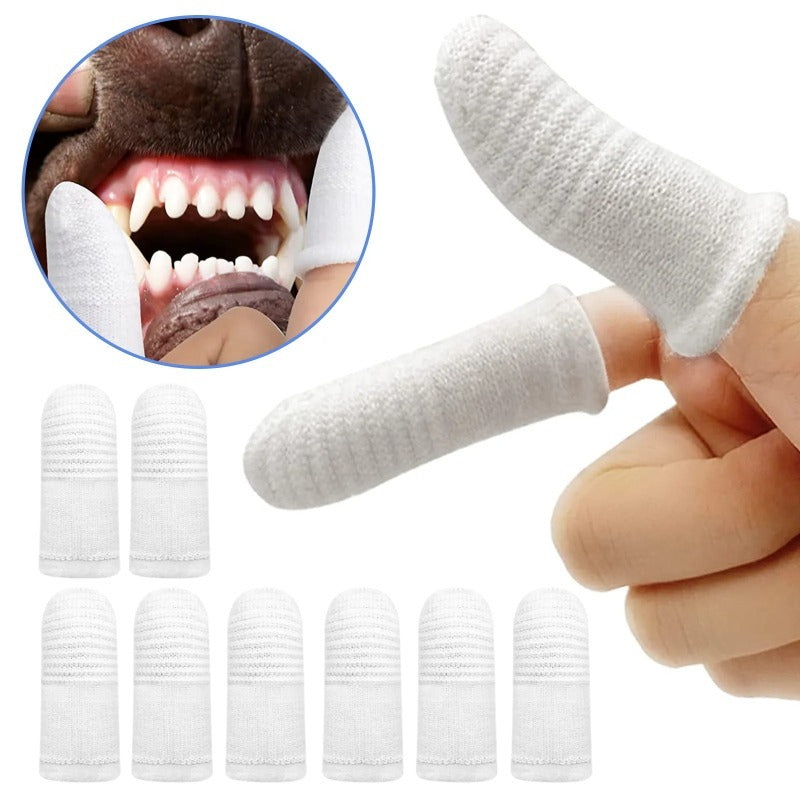 12 brosses à dents pour chien, outil de soins bucco-dentaires enfilable sur le doigt