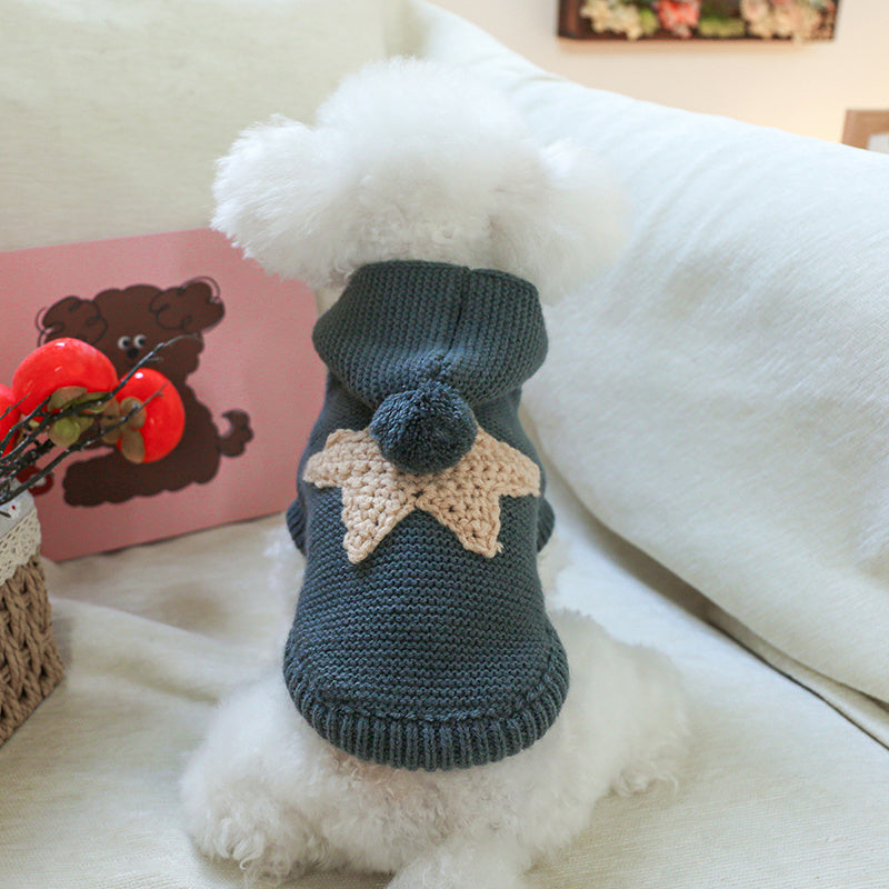 Pull à capuche tricoté pour chien, gris anthracite avec étoile beige dans le dos, pompon sur la capuche, bien chaud, facile à enfiler