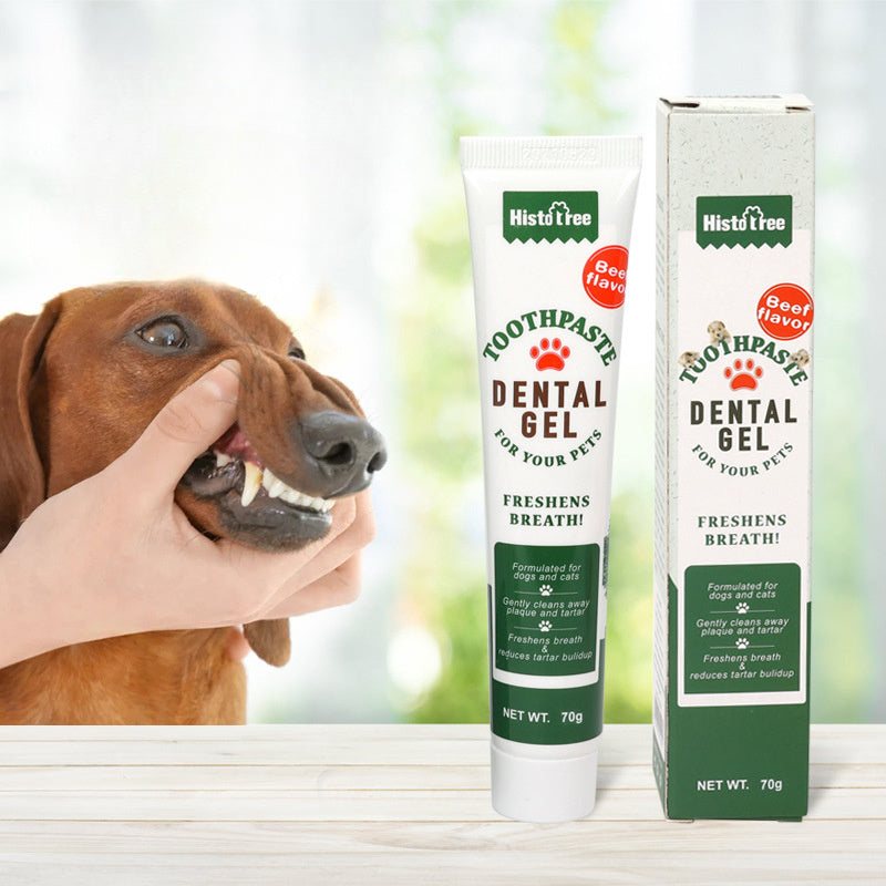 Dentifrice pour chien et chat, produit d'hygiène bucco-dentaire, à saveur de bœuf ou de vanille
