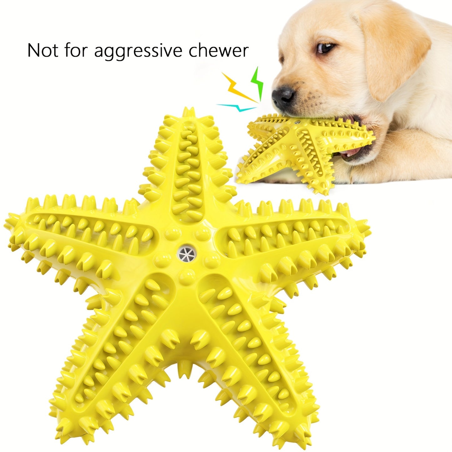 Jouet à mâcher interactif pour chien, pour jouer avec les molaires, en forme d'étoile de mer, résistant et qui couine, diverses couleurs