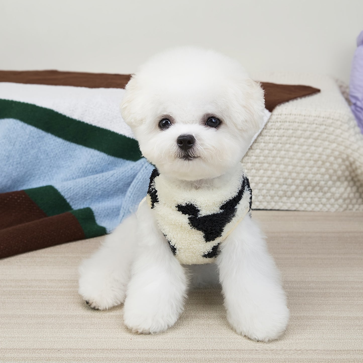 Pull pour chien en polaire, tout doux et bien chaud, motifs d'ourson ou de vache avec 1 anneau intégré pour partir en balade