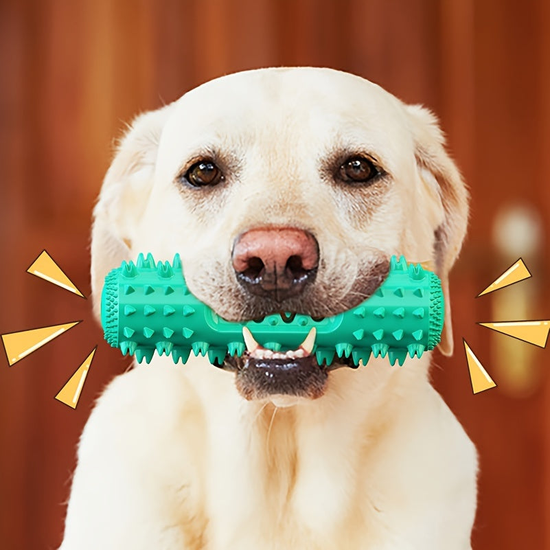 Jouet à mâcher pour chien, bâton moléculaire résistant aux morsures, nettoyant les dents, jouet éducatif d'entraînement