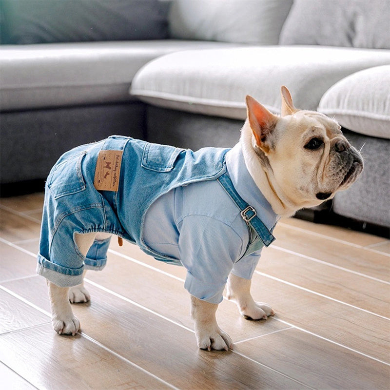 Vêtements pour bouledogue français Vêtements pour chien en simili-denim Combinaisons Manteau d'automne-hiver pour chien