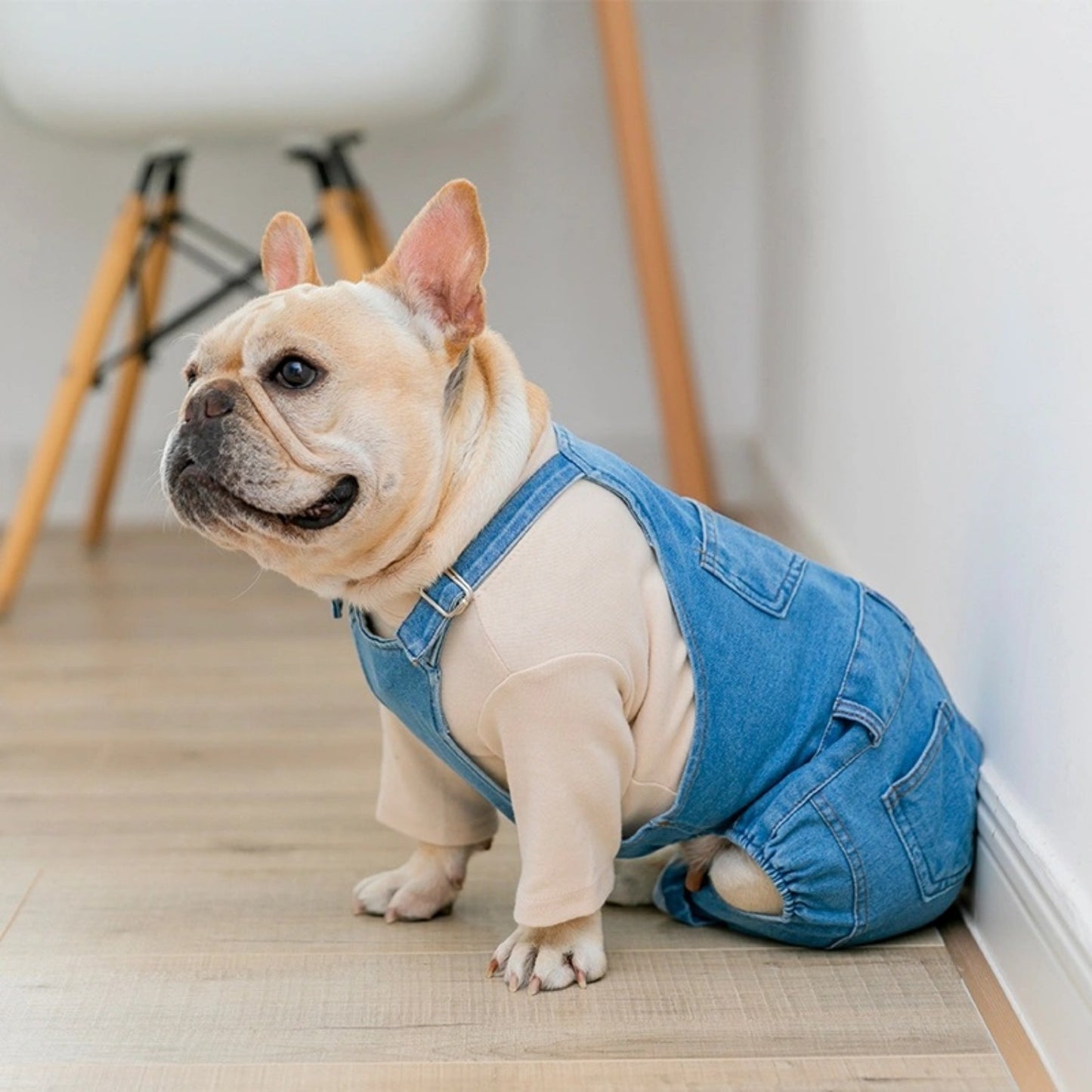Vêtements pour bouledogue français Vêtements pour chien en simili-denim Combinaisons Manteau d'automne-hiver pour chien