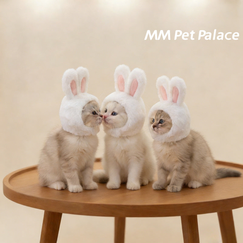Casque tout doux à oreilles de lapin pour chat, costume mignon pour Pâques, lavable à sec uniquement