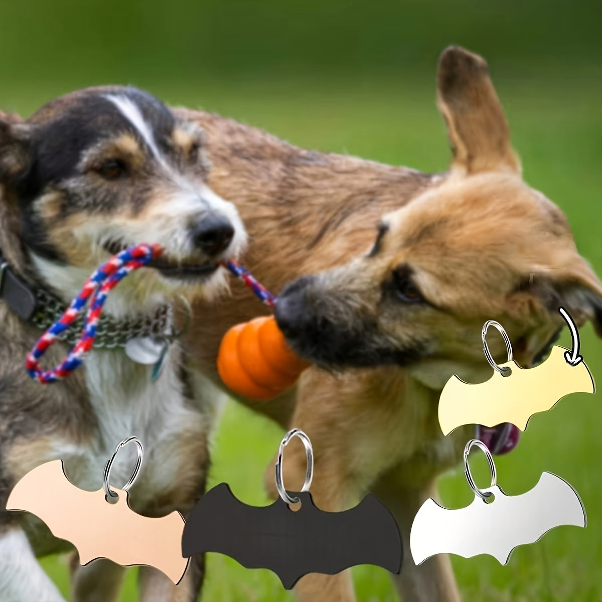 Médaille d'identification personnalisée en forme de chauve-souris pour chien, diverses couleurs