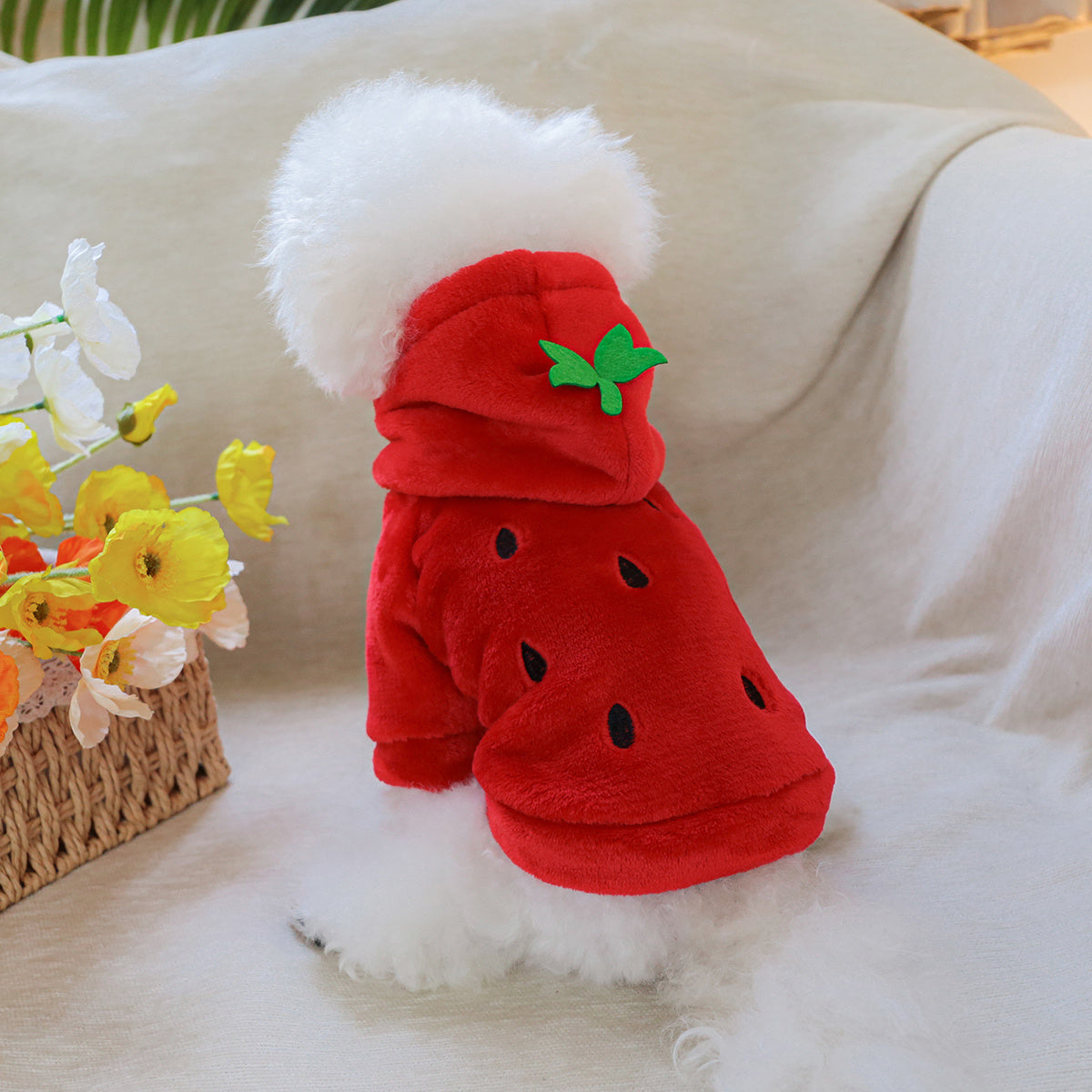 Sweat à capuche en forme de fraise, costume coloré pour petit chien, bien chaud