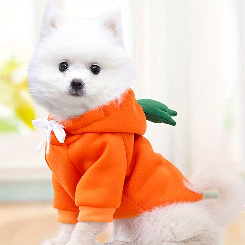 Costume pour petit chien en forme de carotte, de tomate et de banane, sweat facile à enfiler, bien chaud