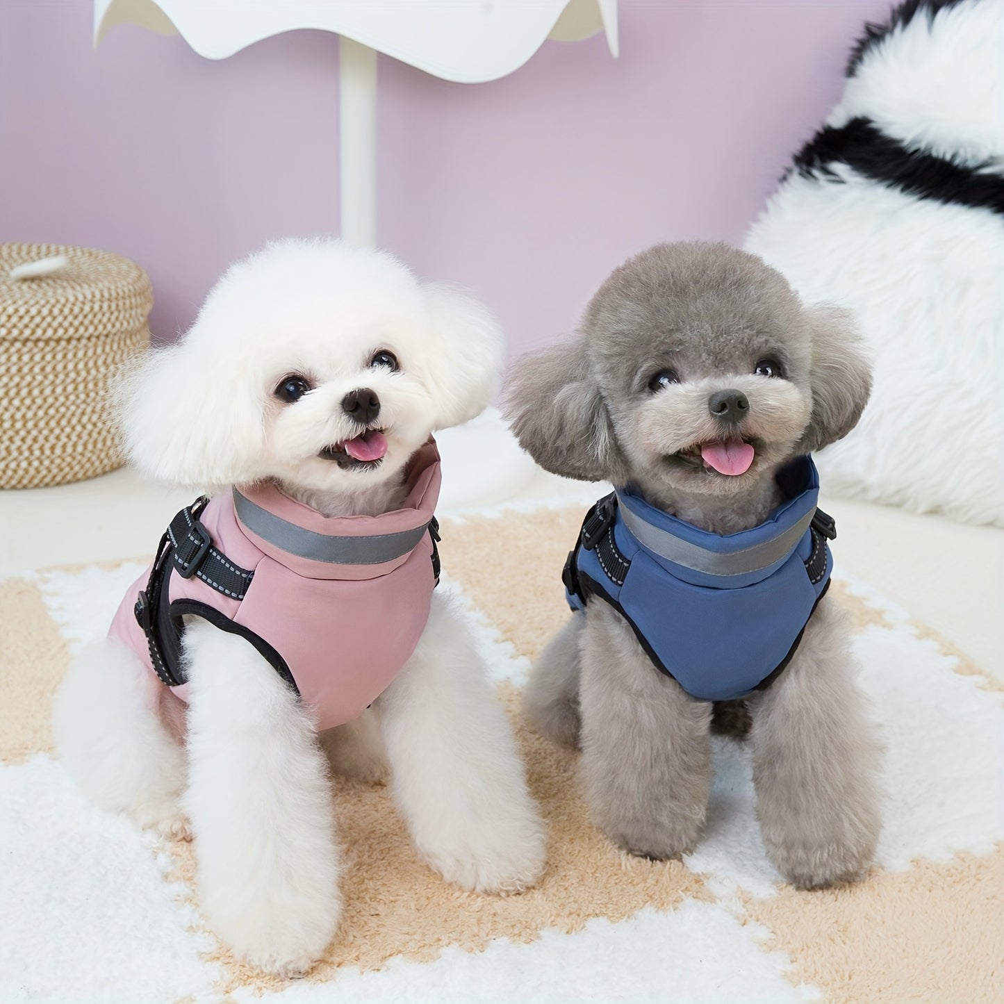 Veste épaisse avec col , disponible en beige,rose ou bleu, fermeture à boucle réglable pour les animaux de taille XS à M (utilisation à l'intérieur et à l'extérieur) - Manteau rembourré doux