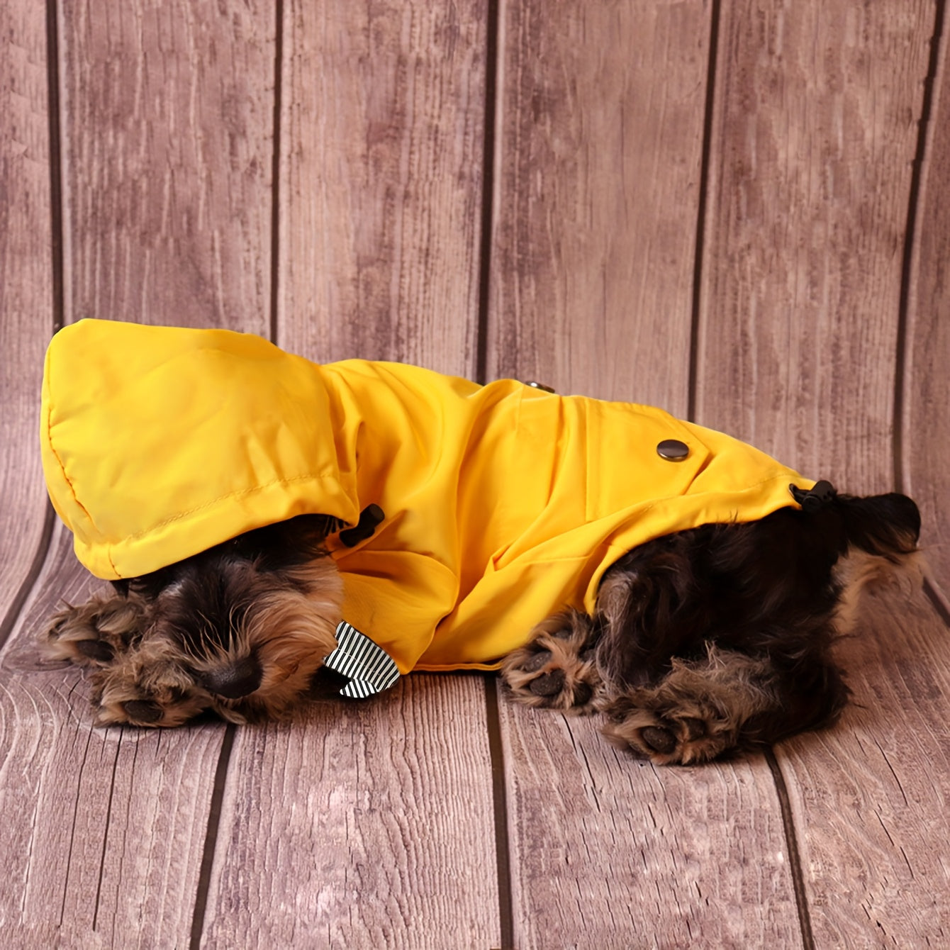 Gardez votre chiot ou petit chien au chaud et au sec grâce à cette élégante veste imperméable à rayures !