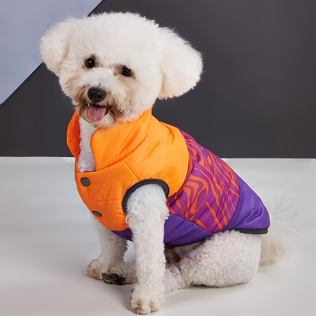 Manteau d'hiver rembourré, patchwork tricolore, pour chiens, diverses couleurs et divers motifs