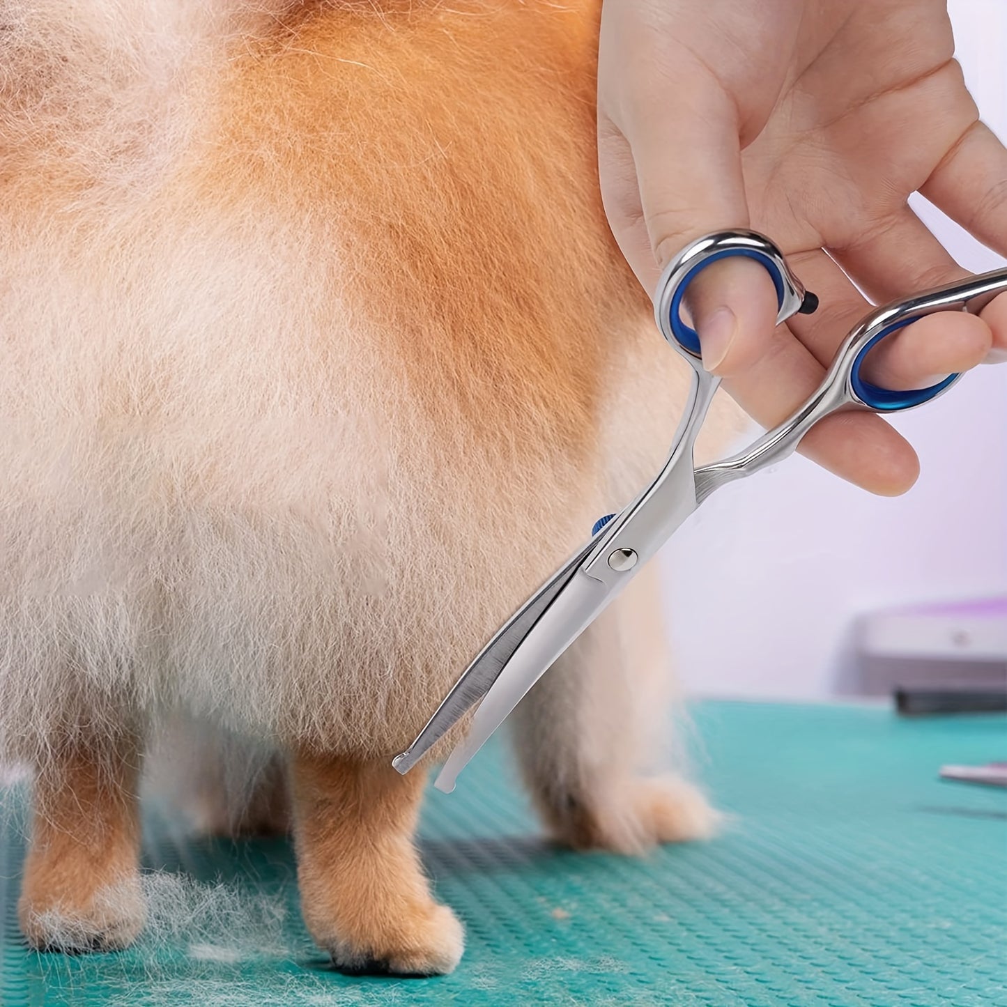 Ciseaux de toilettage courbés pour le toilettage des animaux de compagnie, sécurisé grâce à la pointe arrondie, acier inoxydable