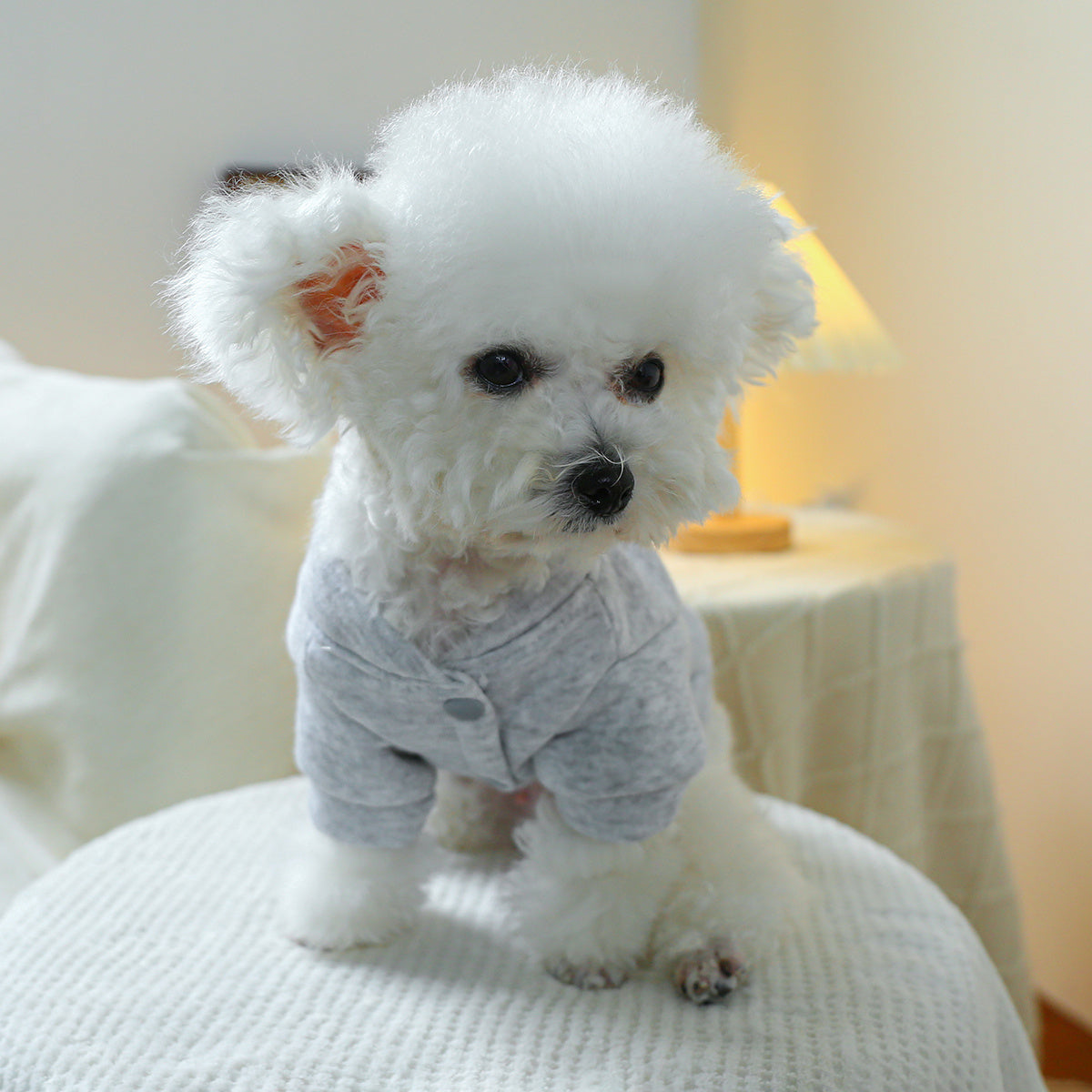 Pull pour chien, gris avec des petits cœurs rouges et roses, anneau intégré pour pouvoir aller en balade