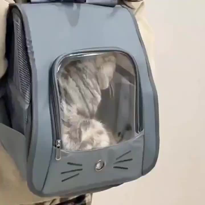 Sac à dos pour chien et chat, léger à porter, aéré pour un confort optimal de votre compagnon à 4 pattes, diverses couleurs