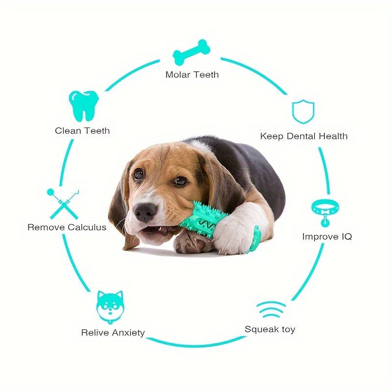 Jouet à mâcher pour chien, bâton moléculaire résistant aux morsures, nettoyant les dents, jouet éducatif d'entraînement
