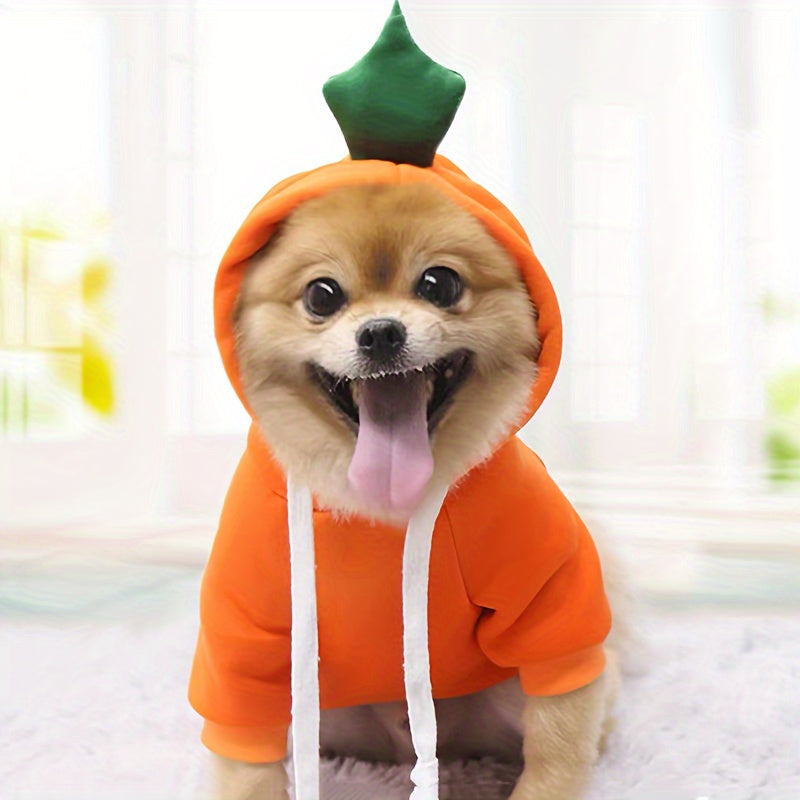 Costume pour petit chien en forme de carotte, de tomate et de banane, sweat facile à enfiler, bien chaud