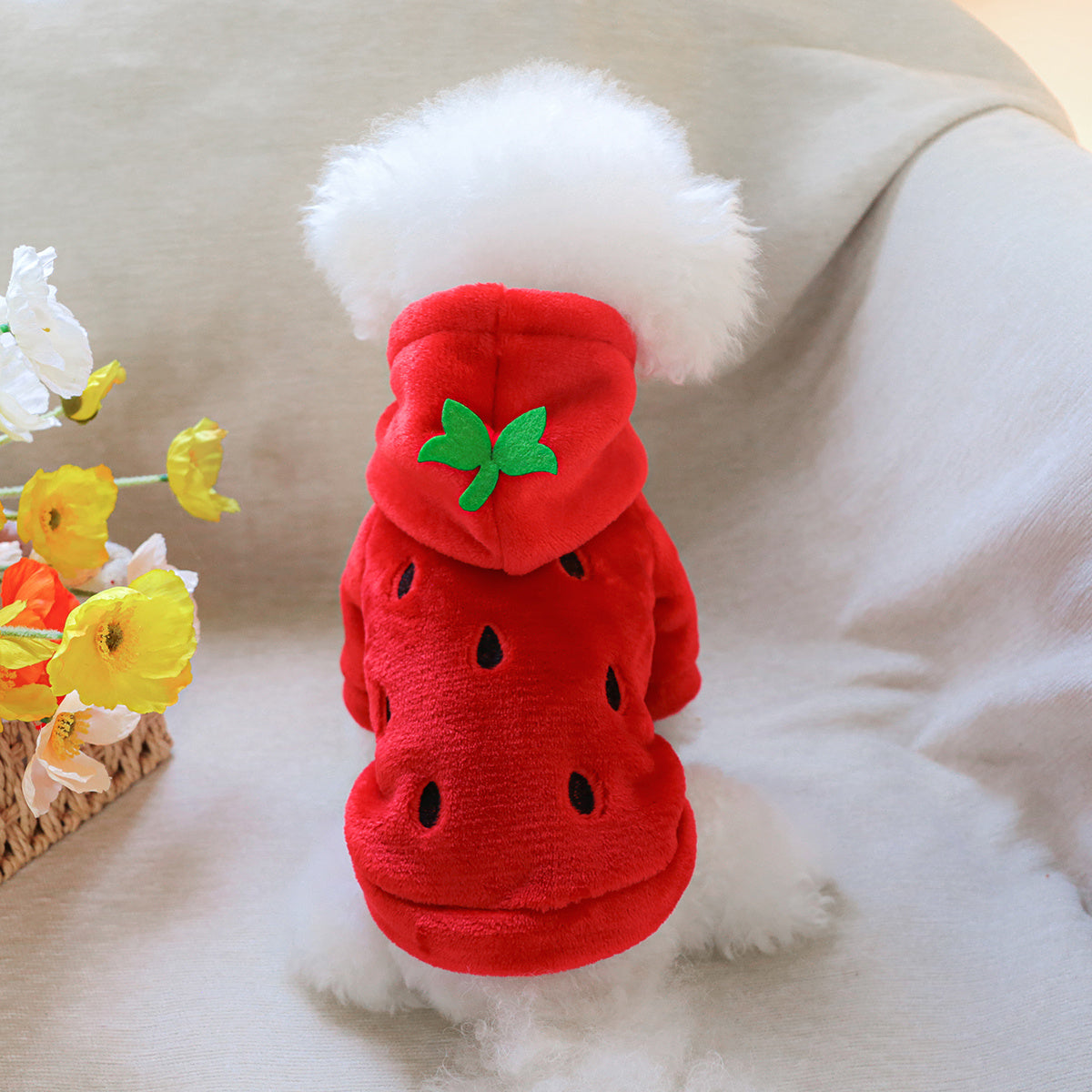 Sweat à capuche en forme de fraise, costume coloré pour petit chien, bien chaud