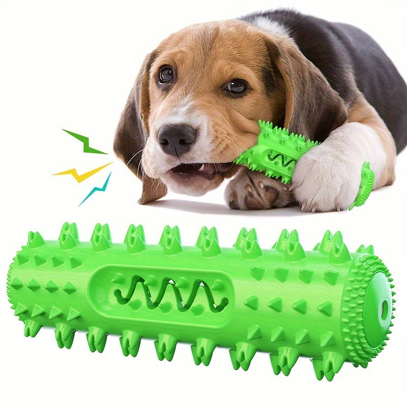 Jouet à mâcher pour chien, bâton moléculaire résistant aux morsures, nettoyant les dents, jouet éducatif d'entraînement