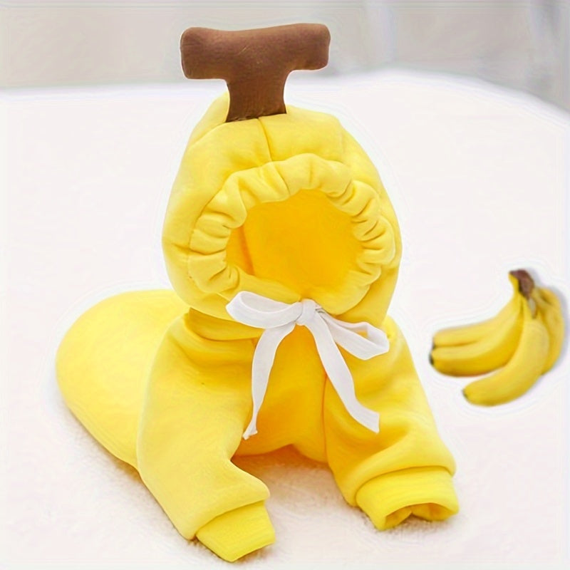Costume pour petit chien en forme de carotte, de tomate et de banane, sweat facile à enfiler, bien chaud