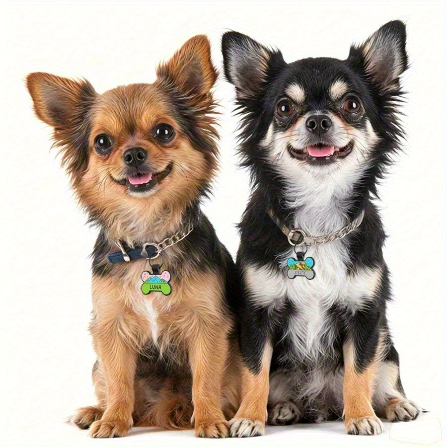 Médaille pour chien personnalisée en forme d'os, en silicone, diverses couleurs et divers motifs